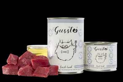 Gussto Cat puszka - Fresh Lamb dla kota
