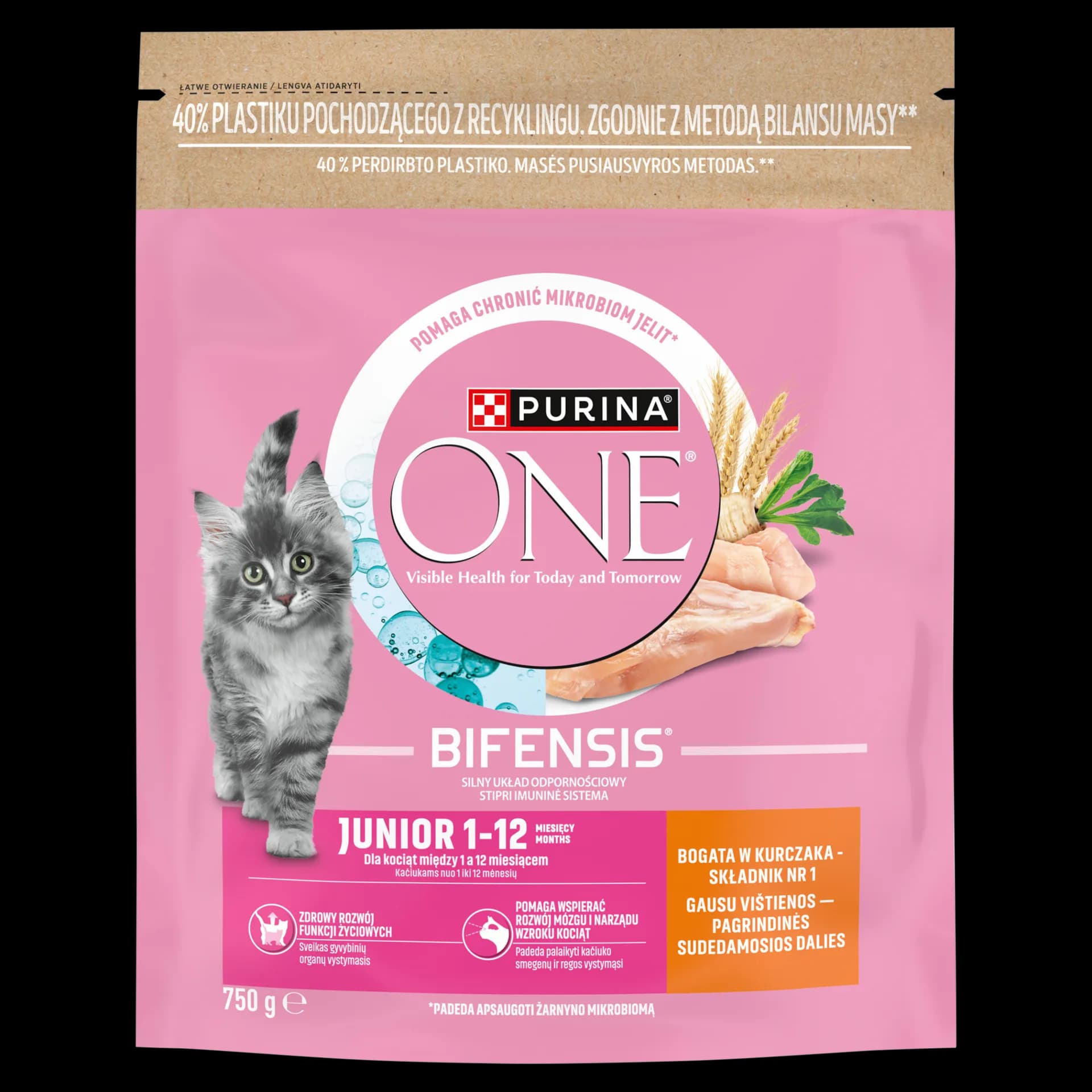 Purina ONE Junior Bifensis karma sucha z kurczakiem dla kociąt 750 g