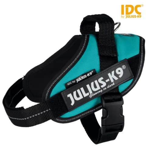 Trixie Szelki dla młodych psów Julius-K9 IDC® Mini-Mini/ Mini - różne rozmiary i kolory Czarny / Mini-Mini/ S