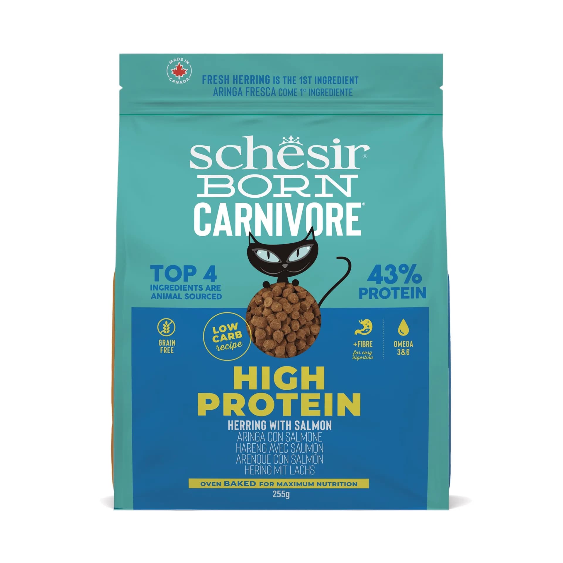 Schesir Born Carnivore karma sucha dla kotów dorosłych śledź i łosoś 255 g