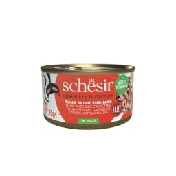 Schesir