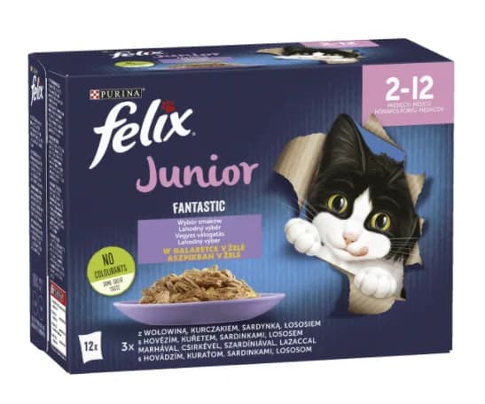 FELIX FANTASTIC Junior Saszetki dla kota Kurczak 12 × 85 g