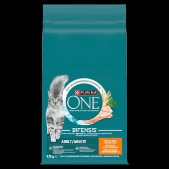 Purina ONE Adult Bifensis karma sucha z kurczakiem dla dorosłych kotów 9,75 kg