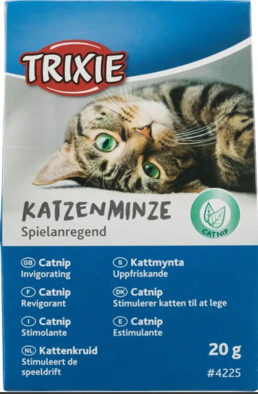 Kocimiętka 20 g