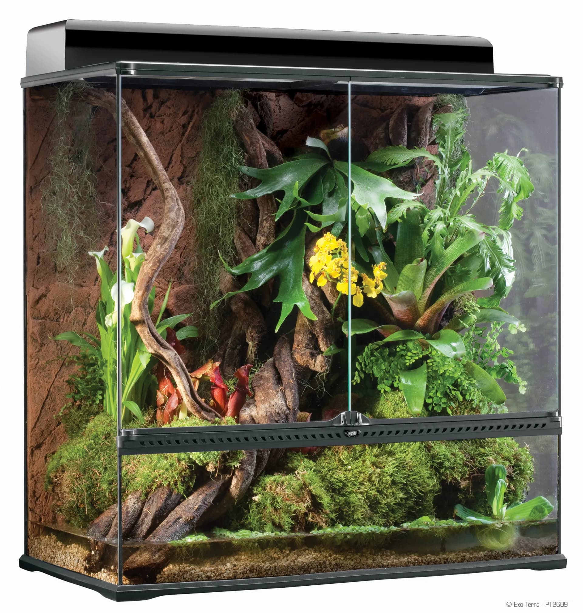 Hagen Paludarium szklane MEDIUM,60 × 45 × 90 cm