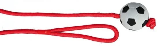 Piłka nożna na sznurku dla psa