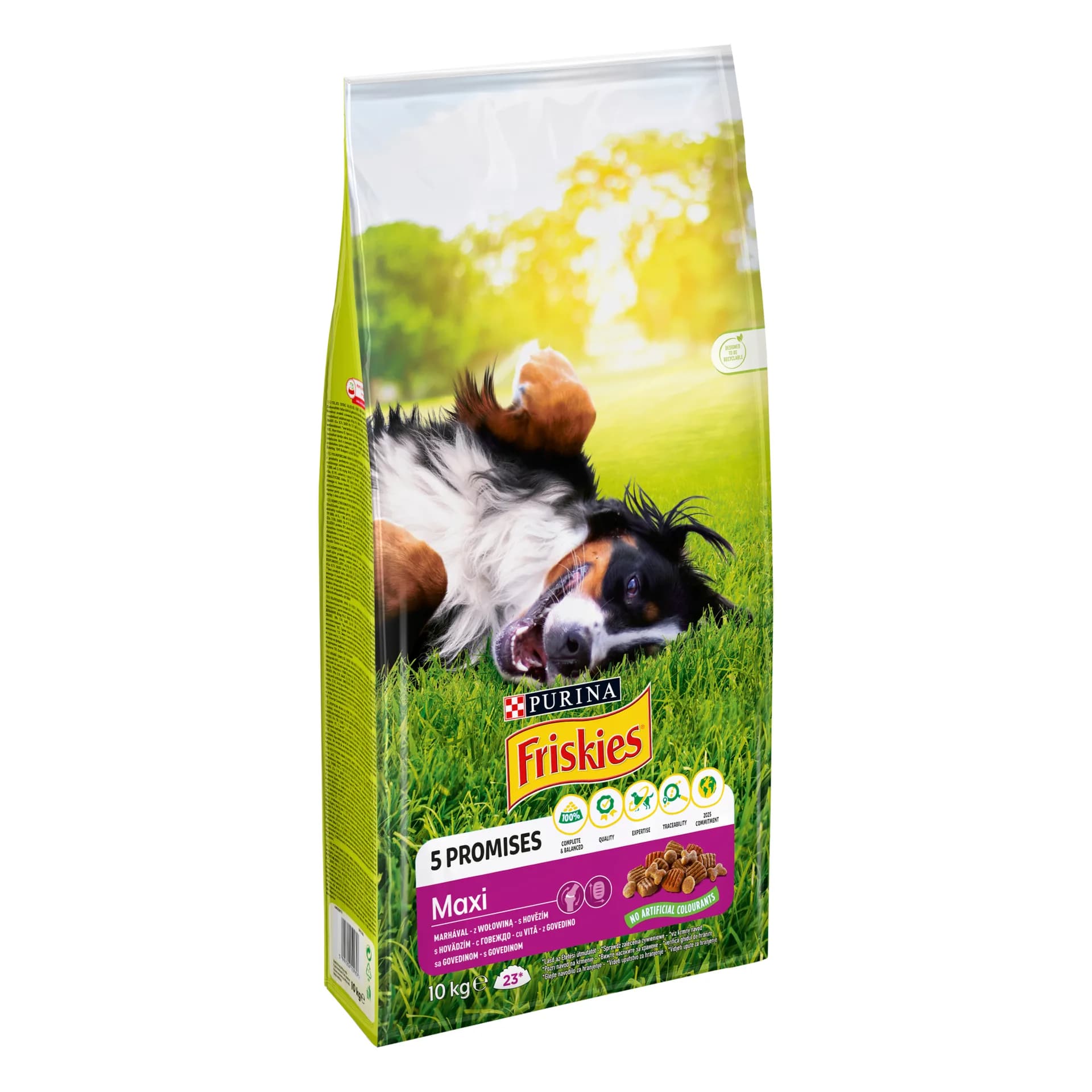 Purina FRISKIES Maxi dla dużego psa 10 kg