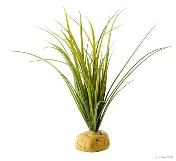 Hagen Roślina sztuczna – Turtle Grass