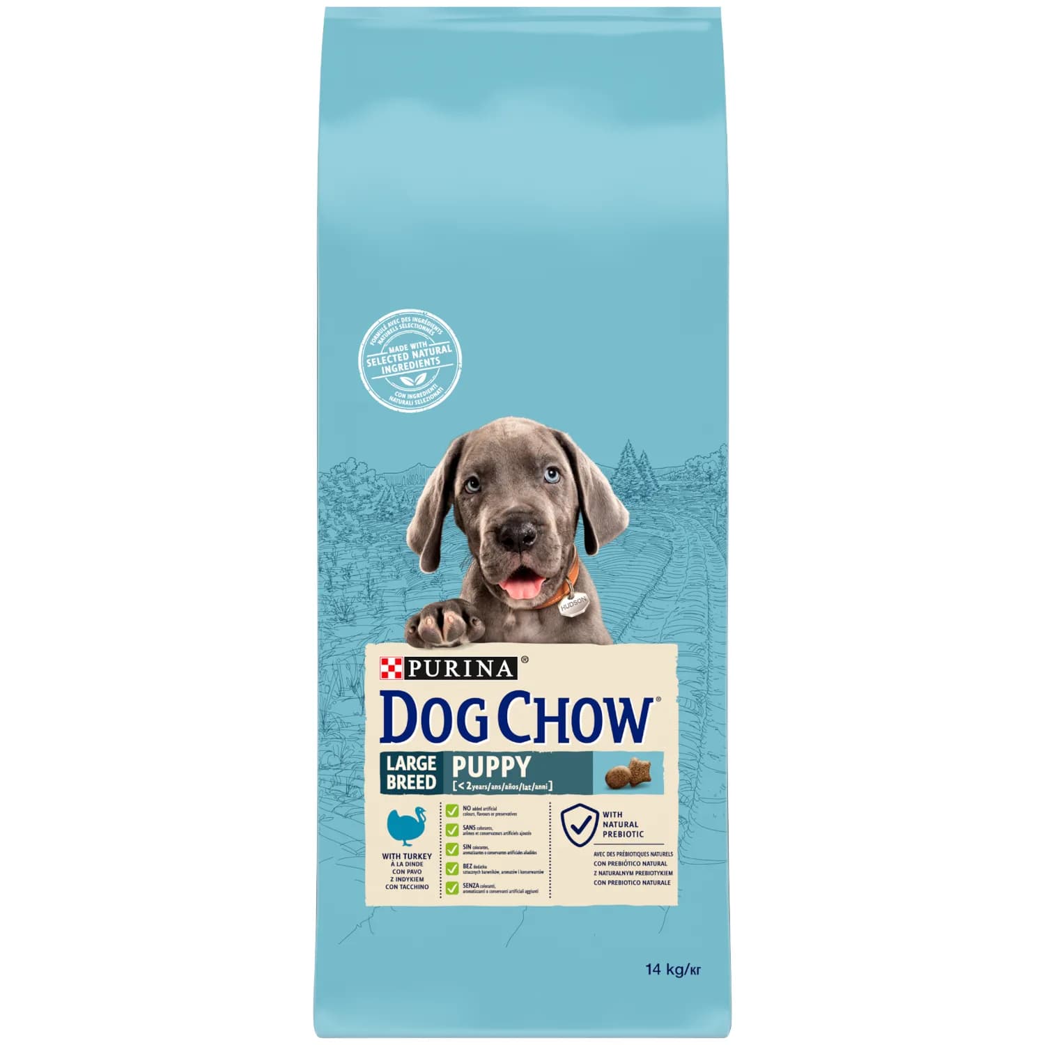 Purina Dog Chow Puppy Large Breed karma sucha z indykiem dla szczeniąt dużych ras