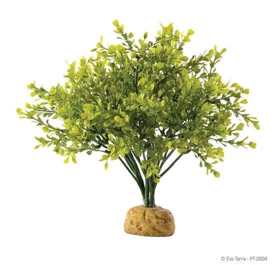 Hagen Roślina sztuczna – Boxwood Bush