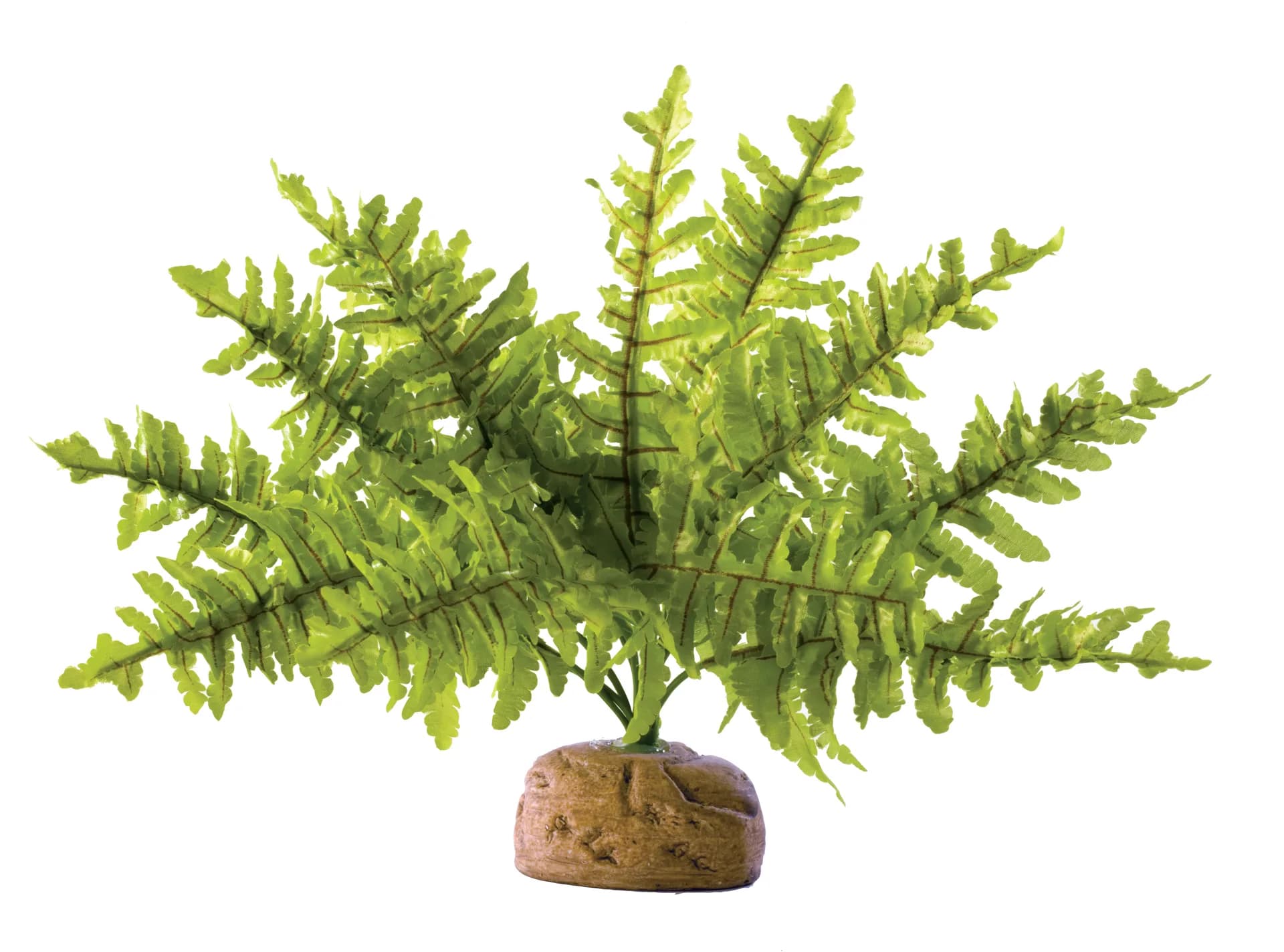 Hagen Roślina sztuczna – Paproć Boston Fern