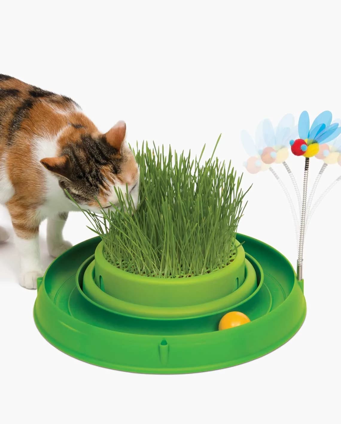 Tor Catit Play 'n Scratch z trawą dla kota od Hagen