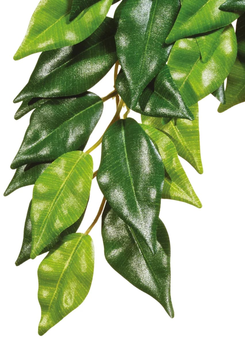 Hagen Roślina sztuczna – Silk Ficus