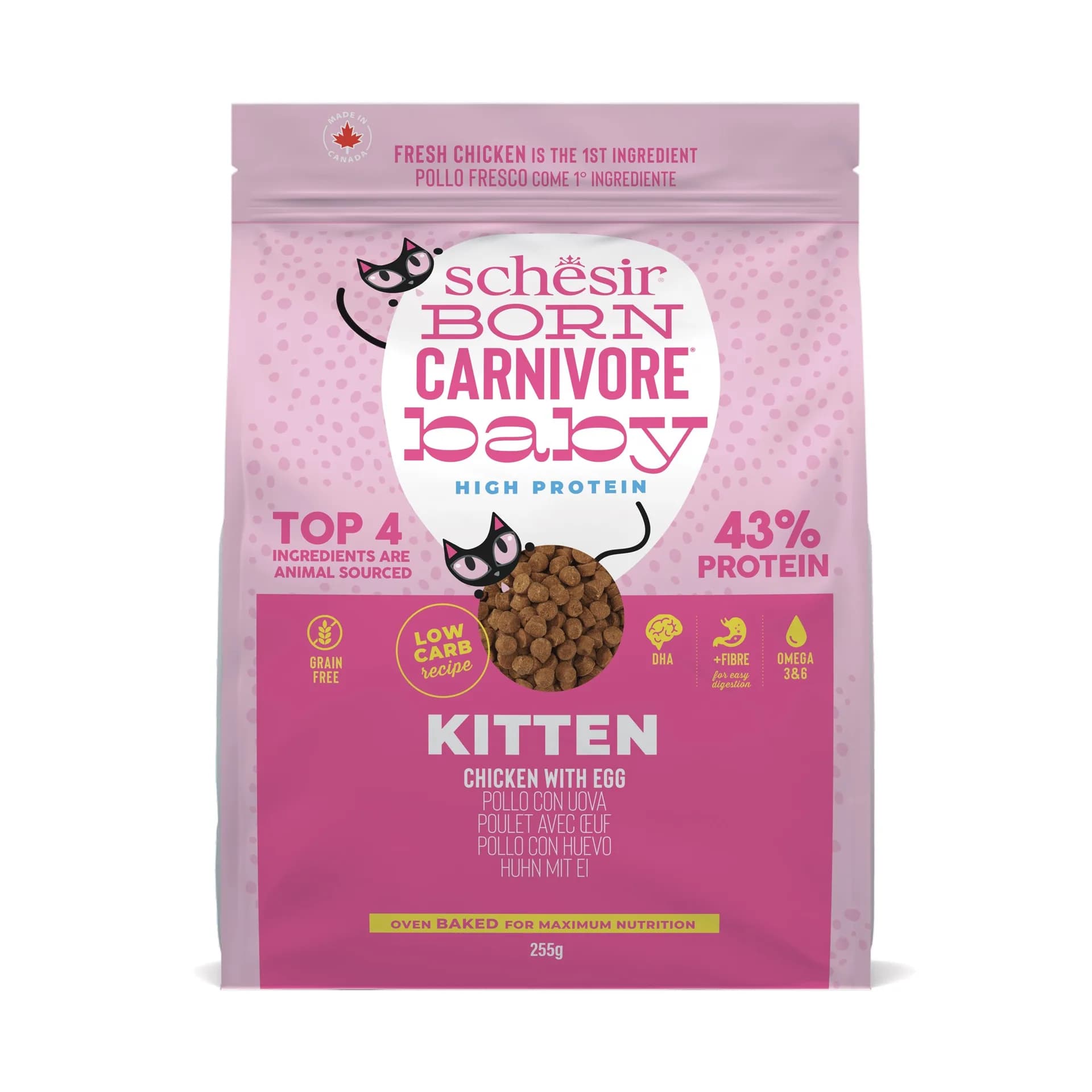 Schesir Born Carnivore karma sucha dla kociąt kurczak z jajkiem 255 g
