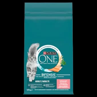 Purina ONE Adult Bifensis karma sucha z łososiem dla dorosłych kotów 9,75 kg
