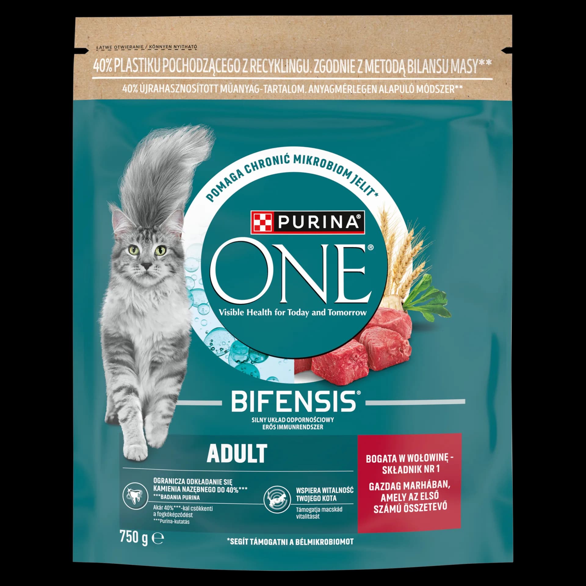 Purina ONE Adult Bifensis karma sucha z wołowiną dla dorosłych kotów 750 g