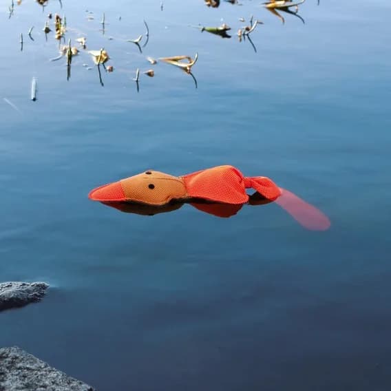 Piszcząca pływająca kaczka z poliesteru - 50 cm
