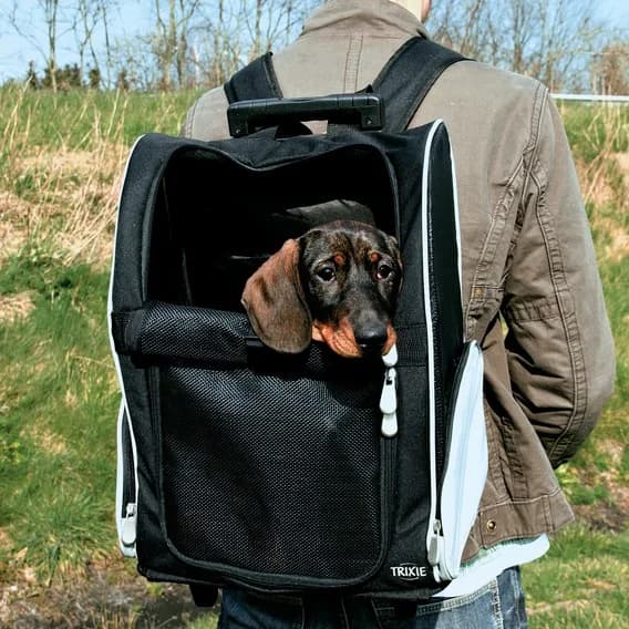 Friends on Tour - Torba na psa/kota - Trolley