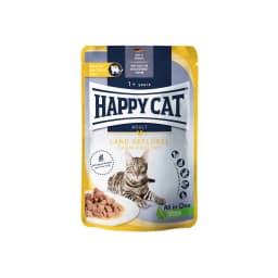 Happy Cat