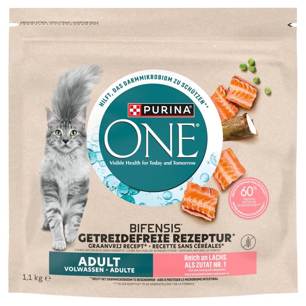 Purina ONE Bifensis Grain Free Adult karma sucha z łososiem dla dorosłych kotów 1,1 kg