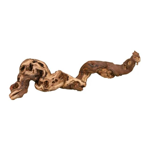 Trixie Korzenie winorośla piaskowane rozm. 3 45-70 cm 5 kg 5 szt/OPAK